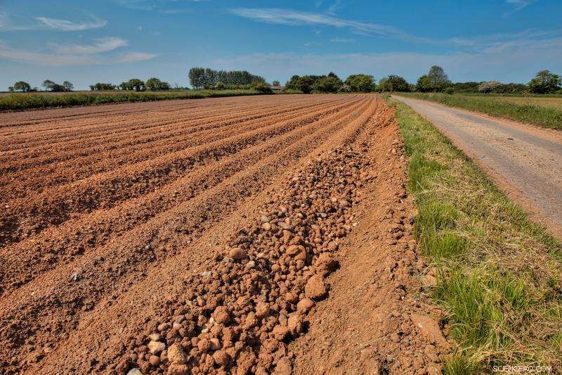 Laser Technology Offers New Solution to Clean Contaminated Soil