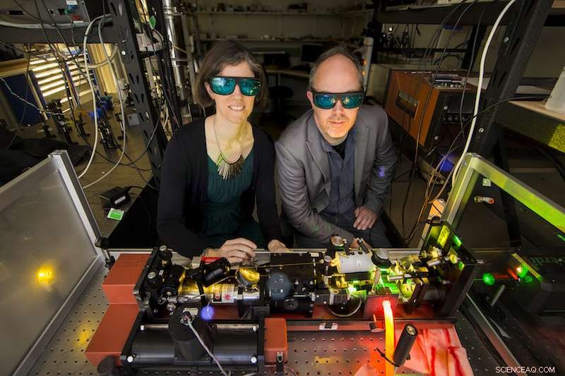 Foundational Building Blocks for a Global Quantum Internet