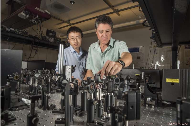 Groundbreaking Terahertz-Speed Polarization Optical Switch Developed by Nanotech Specialists