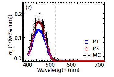 Mapping Light Paths Inside LEDs for Enhanced White LED Performance