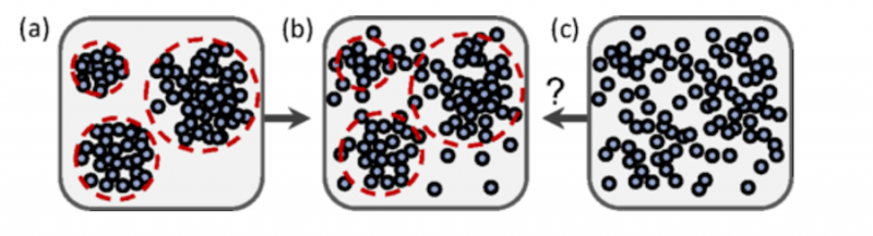 Theoretical Physicist Proposes New Framework for Classifying Microbial Life