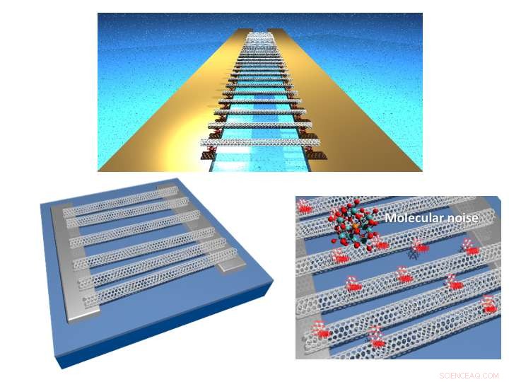 Harnessing Noise: Bio‑Inspired Electronics Achieve Enhanced Performance