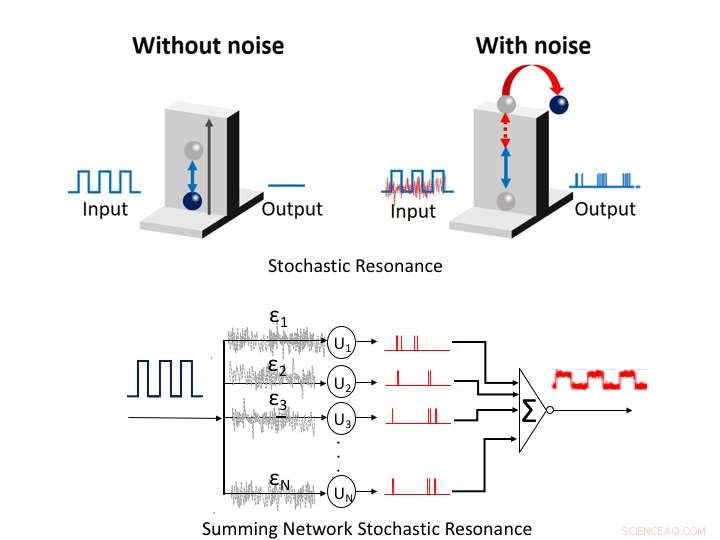 Harnessing Noise: Bio‑Inspired Electronics Achieve Enhanced Performance