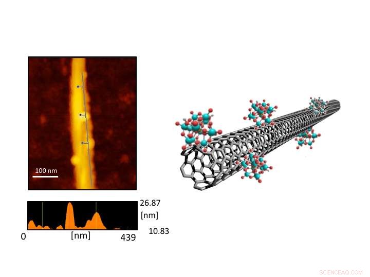 Harnessing Noise: Bio‑Inspired Electronics Achieve Enhanced Performance