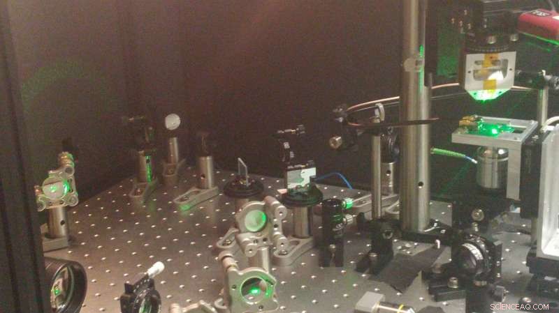 Unlocking Advanced Sensing with Quantum-Enhanced Diamond Sensors