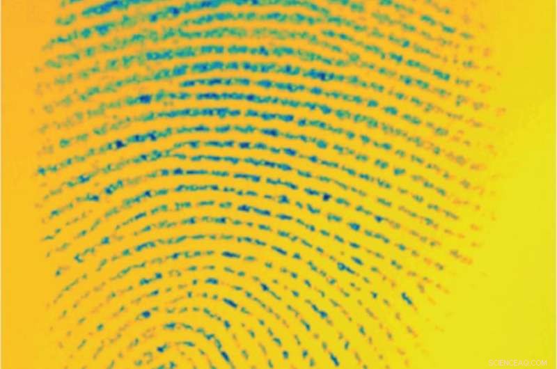 Researchers Discover Fingertips Respond Differently to Various Surfaces