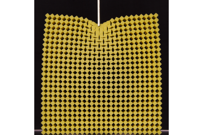 Exploring the Distinct Physics of Mechanical Metamaterials
