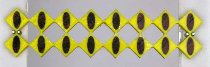 Exploring the Distinct Physics of Mechanical Metamaterials