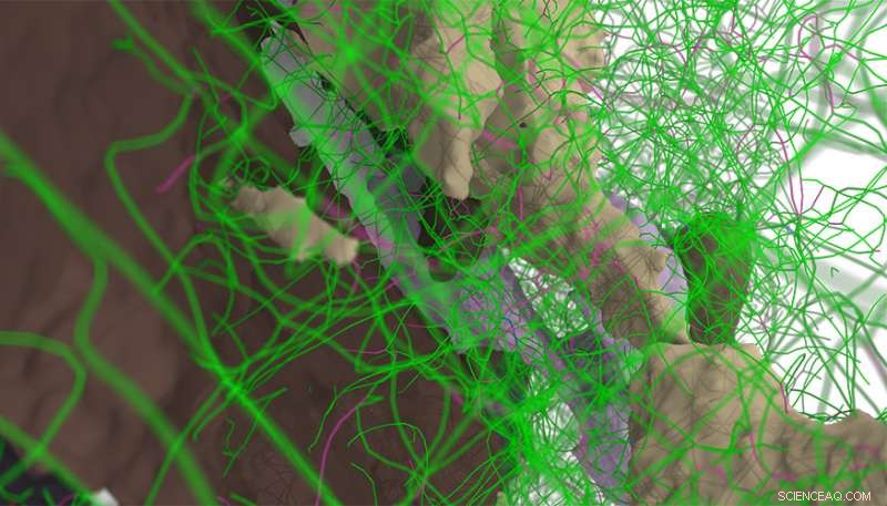 Atomistic Simulations Reveal How Metals Achieve Superior Strength