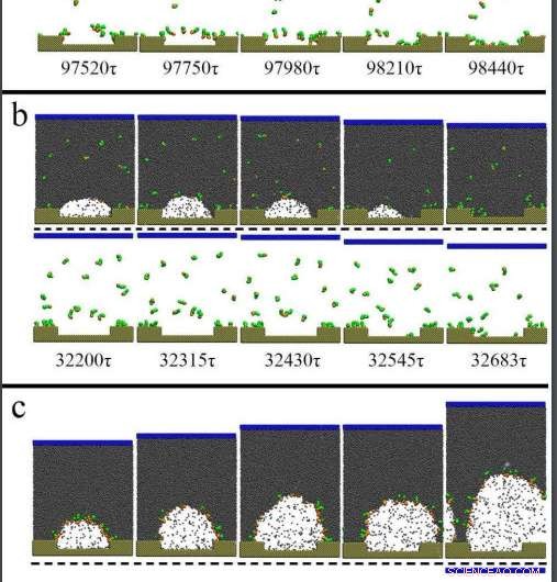 Unveiling the Surprising Impact of Surfactants on Nanobubble Stability