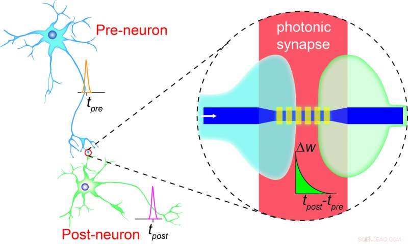 Advancing the Holy Grail of Computing: Brain‑Inspired Photonic Microchips