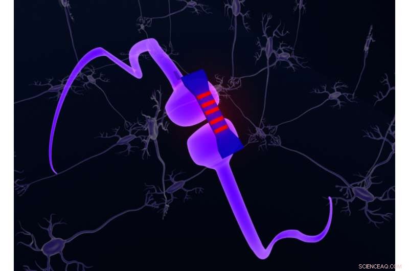 Advancing the Holy Grail of Computing: Brain‑Inspired Photonic Microchips