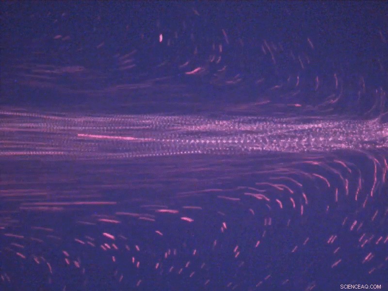 New Laser‑Induced Liquid Streaming Theory Emerges from Unexpected Discovery