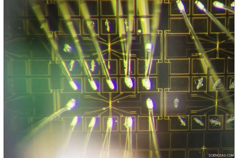 Innovative Building Material Paves the Way for Next‑Gen Quantum Computers