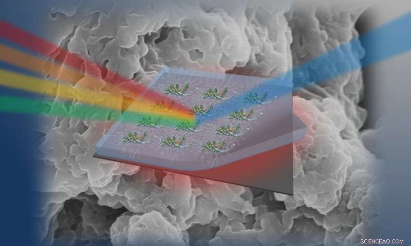 DNA: Emerging Material Revolutionizing Photonics