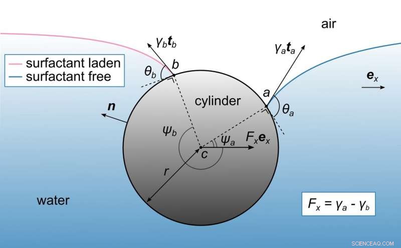 Exploring Surface Tension: Insights from OIST Research