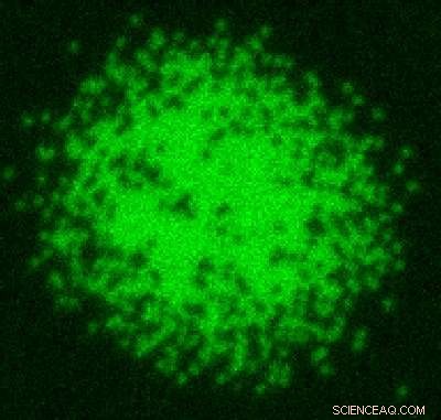 Ultracold Atoms Reveal Unexpected Magnetic Behavior