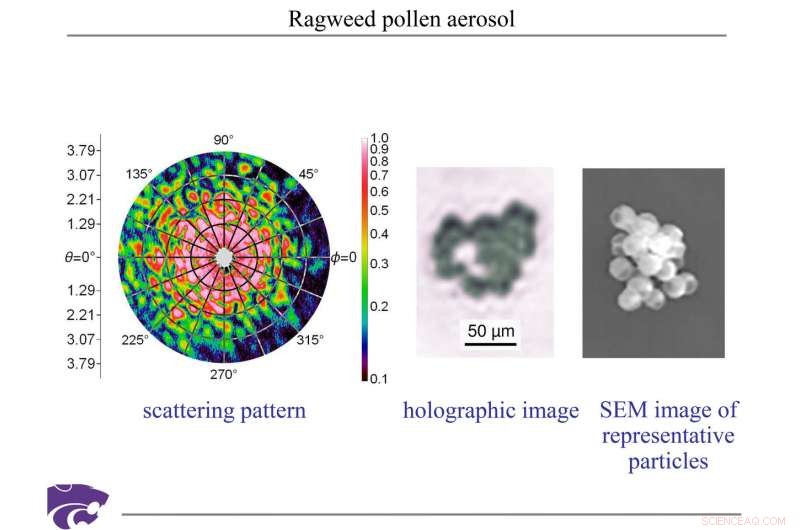 Scientists Capture Free-Flowing Aerosol Particles with Holographic Laser Imaging