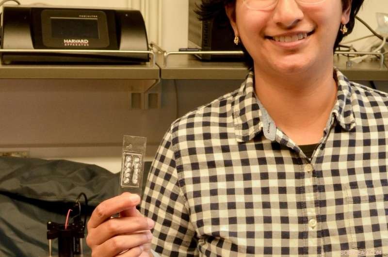 Portable Blood Analyzer Promises Global Anemia Detection Breakthrough