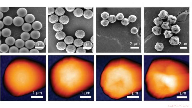 New Study Reveals How Rough Microparticles Trigger Significant Problems