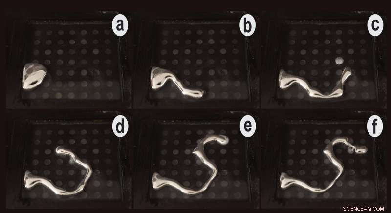 Liquid Metal Morphing Paves the Way for Advanced Soft Robotics