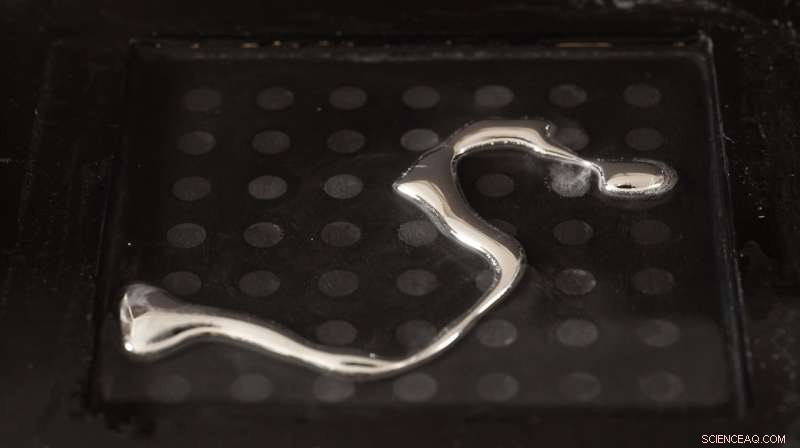 Liquid Metal Morphing Paves the Way for Advanced Soft Robotics