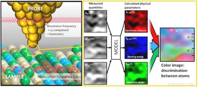 Scientists Translate AFM Data into Vibrant Color Images