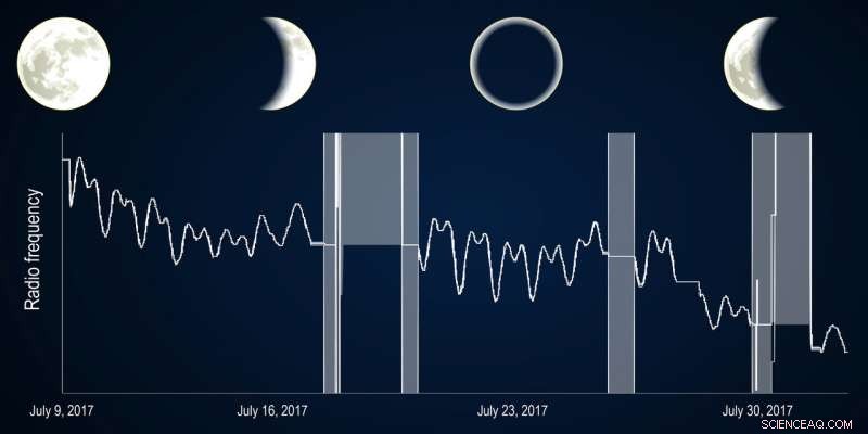 Impact of Lunar Phases on NSLS-II Radio Frequency: Insights from Gravitational Effects
