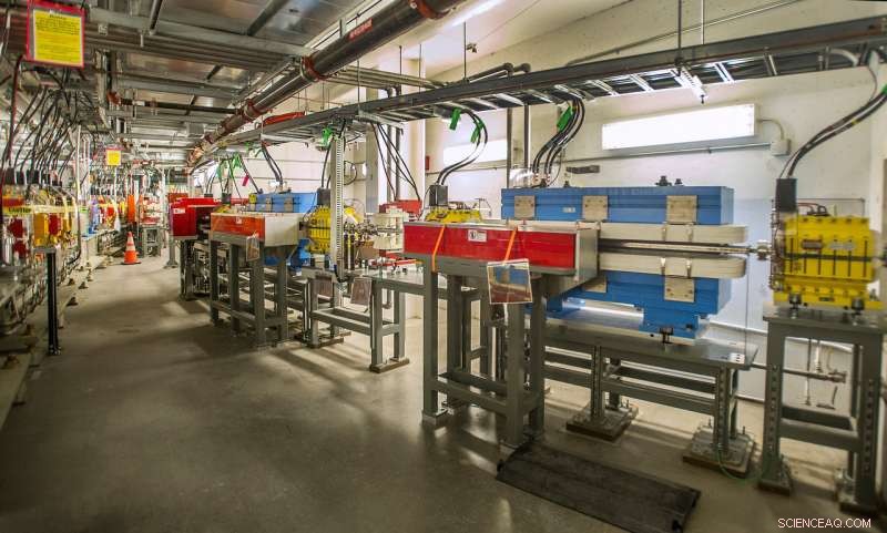 Impact of Lunar Phases on NSLS-II Radio Frequency: Insights from Gravitational Effects