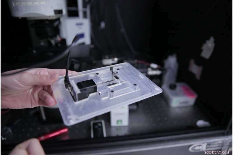 Advanced 3‑D Imaging Method Paves the Way for Precision Medicine