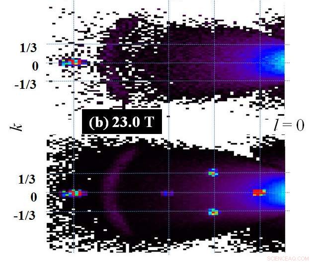 Unveiling Hidden Order: High-Field Magnet Studies at BER II