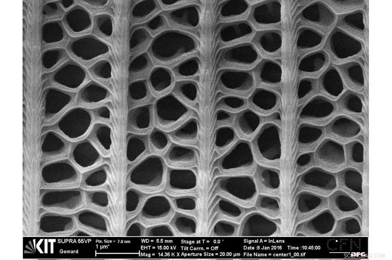 Mimicking Black Butterfly Wings Enhances Thin‑Film Solar Cell Efficiency