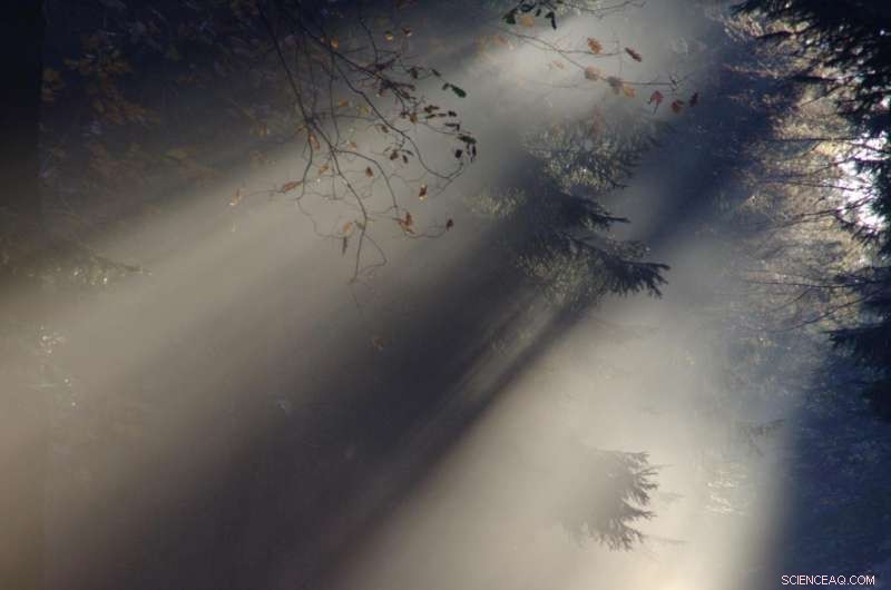 Researchers Bring Optical Communication to Silicon Chips, Boosting Speed and Efficiency