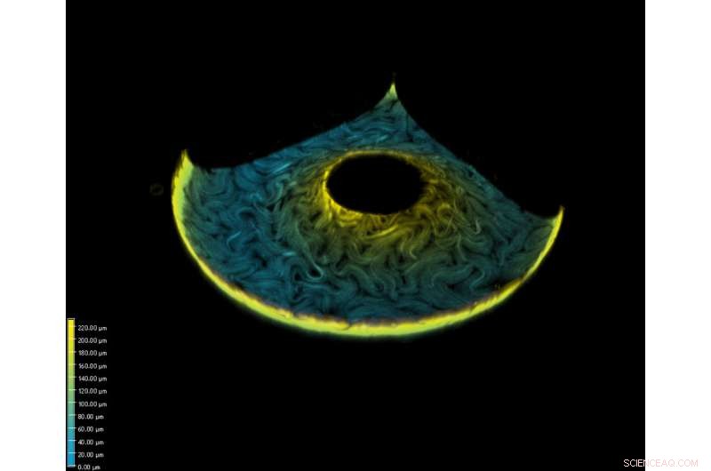 Wriggling Microtubules Reveal How Active Defects Couple with Curvature