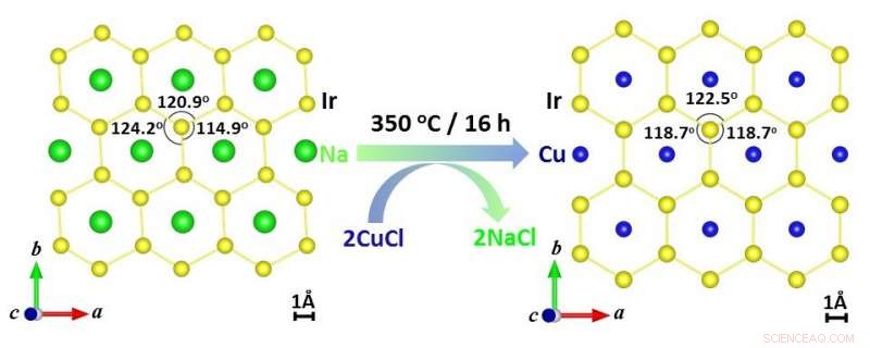 Quantum Spin Liquid Revealed on Honeycomb Lattice: New Insights into the Kitaev Model
