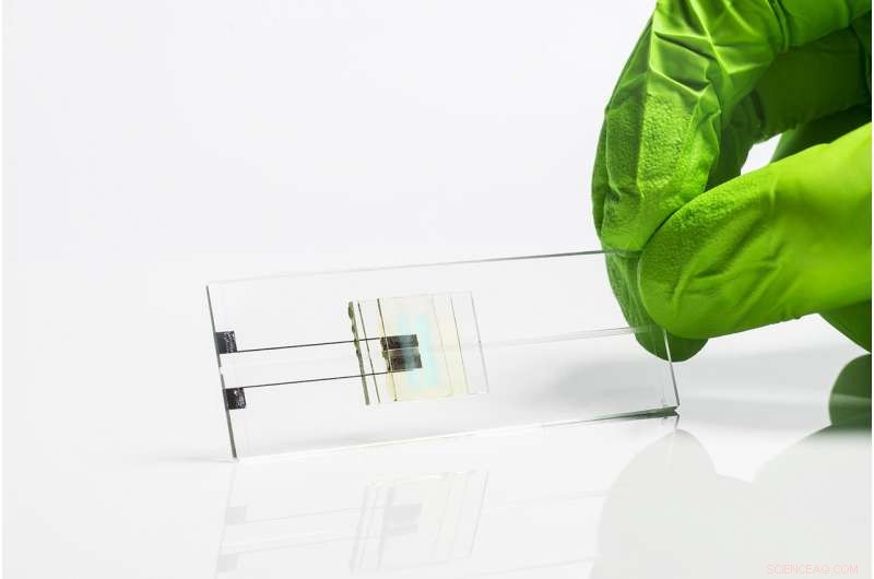 Inkjet‑Printed Fluorescent Chips: A New Frontier in Rapid Disease Detection