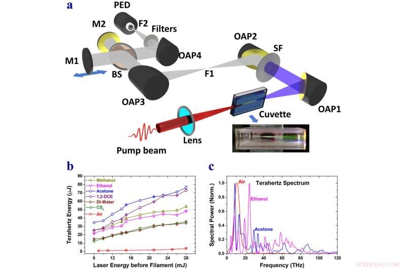 Liquids Respond to Terahertz Radiation: New Insights into Plasma Filamentation