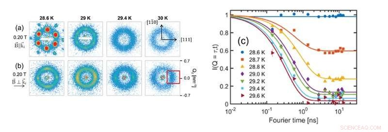 Impact of Magnetic Fields on Chiral Magnetic Correlations