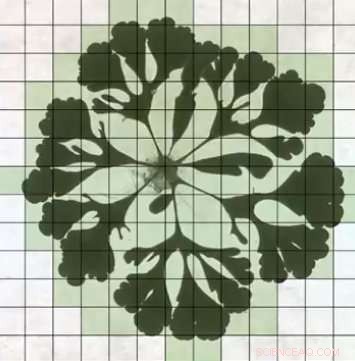 Voltage-Controlled Fractal Formation in Gallium-Indium Liquid Metal