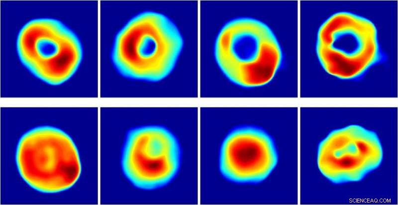 Portable Holographic Microscope Enables On‑Site Diagnosis for Medical Professionals