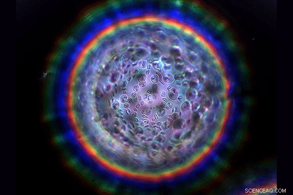 Scientists Show Precise Nanoscopic Control of Liquid Crystal Patterns