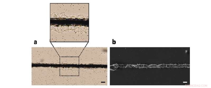 Metal‑Silicone Microwires: A New Frontier for Flexible Optoelectronic Devices