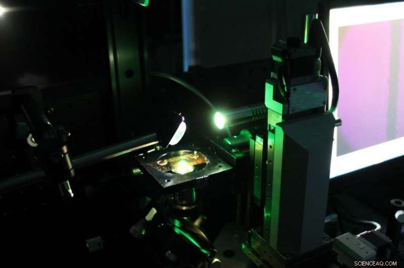 Metal‑Silicone Microwires: A New Frontier for Flexible Optoelectronic Devices