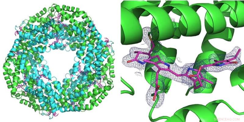 Reducing Background Scattering in Protein X‑Ray Crystallography with a Pink Beam