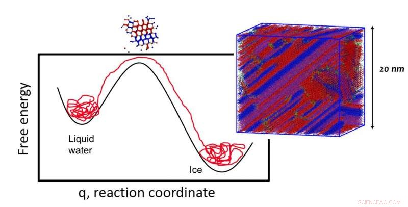 The Formation of Ice in Clouds: From Nucleation to Growth