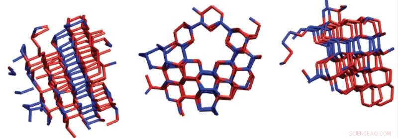 The Formation of Ice in Clouds: From Nucleation to Growth