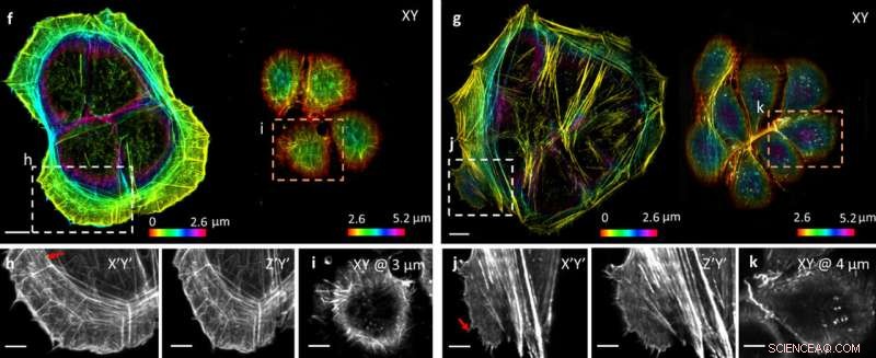 Researchers Develop High-Resolution Imaging for Biospecimens