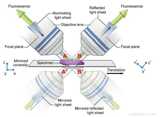 Researchers Develop High-Resolution Imaging for Biospecimens