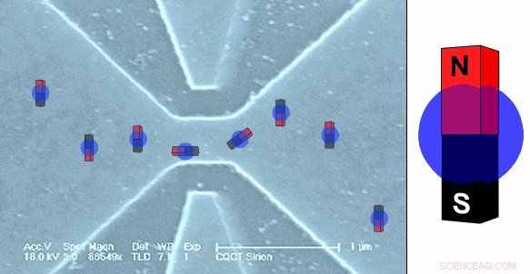 One-Dimensional Holes Unveil Unique Spin Dynamics in Semiconductor Devices