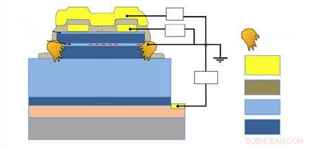 One-Dimensional Holes Unveil Unique Spin Dynamics in Semiconductor Devices